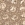 Imagine ARNA CROCO ORO